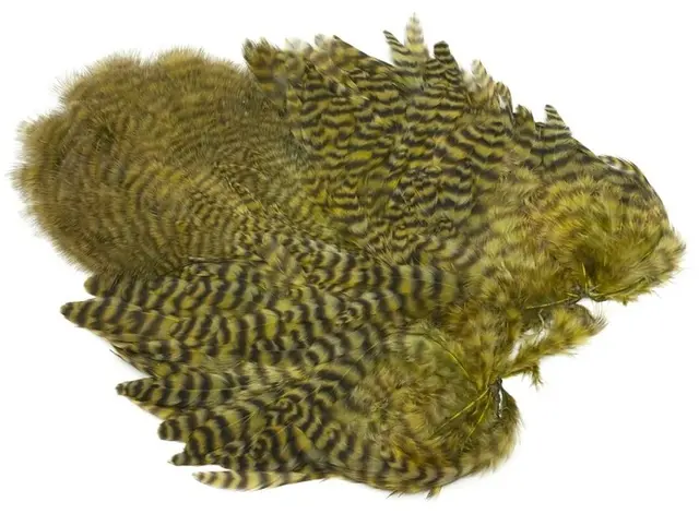 Whiting Rooster SH/C Grizzly Grizzly dyed Olive 