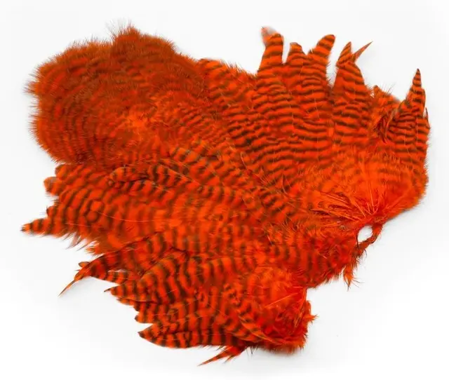 Whiting Rooster SH/C Grizzly Grizzly dyed Orange 
