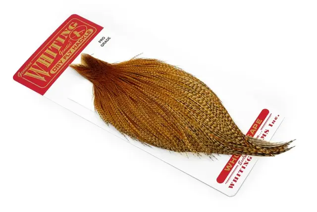 Whiting Silver Cape Barred Dark Ginger Lange fibere og utrolig tette fjær 