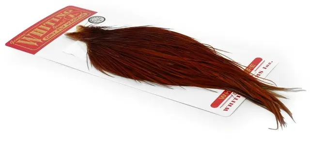 Whiting Silver Cape Brown Lange fibere og utrolig tette fjær 