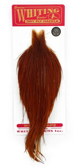 Whiting Silver Cape Brown Lange fibere og utrolig tette fjær 