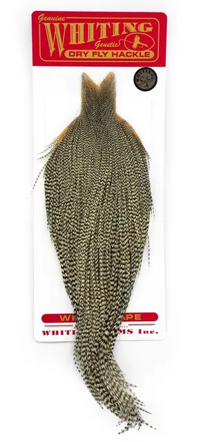 Whiting Silver Cape Grizzly Lange fibere og utrolig tette fjær 