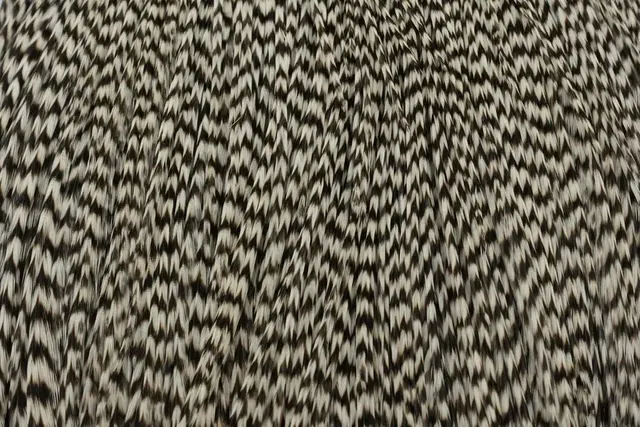 Whiting Silver Cape Grizzly Lange fibere og utrolig tette fjær 