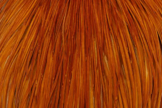 Whiting Silver Cape Medium Ginger Lange fibere og utrolig tette fjær 