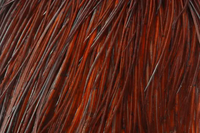 Whiting Silver Cape White dyed Brown Lange fibere og utrolig tette fjær 