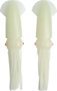 Sunlight Squid sj&#228;lvsj&#228;lvlysandeande