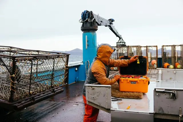 Yeti LoadOut GoBox 60 White Vanntett og sikker oppbevaringsboks 